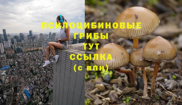 твердый Абаза