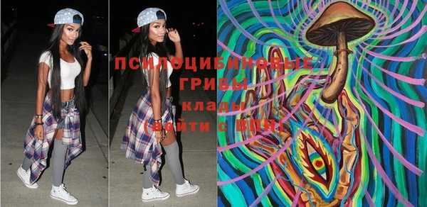 амф Абинск