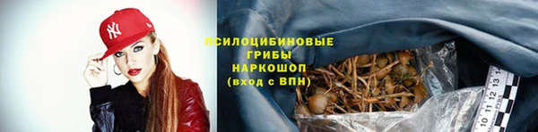 амф Абинск