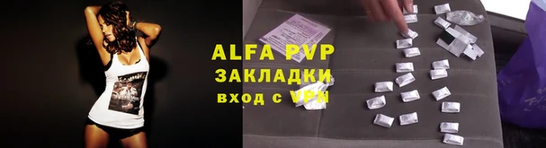 твердый Абаза