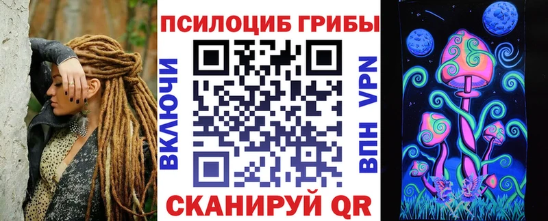 площадка наркотические препараты  Ефремов  Галлюциногенные грибы Psilocybe 